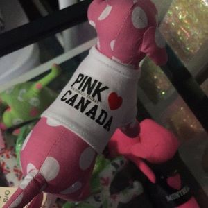 Vs pink Canada dog